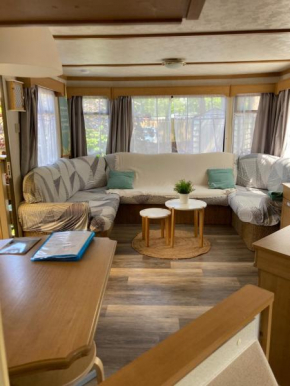 Mobil home climatisé camping la lande avec piscine Mimizan